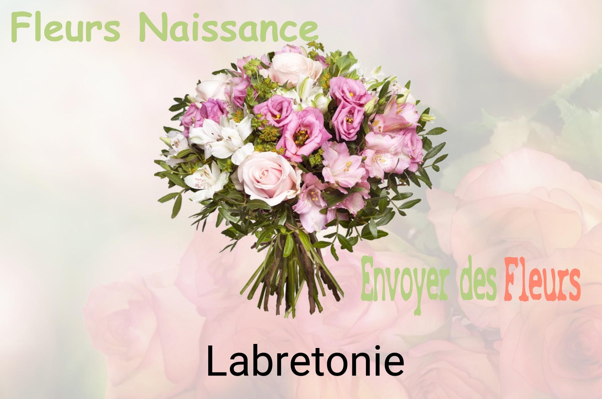 Bouquet de fleurs de naissance livré à Labretonie